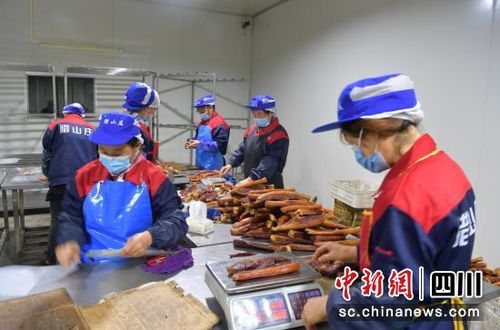 汶川 臘肉飄香打造舌尖上的富民產業