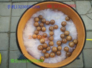 拋光機廠家 優(yōu)質沉香拋光機 圓珠子拋光機 木珠拋光機