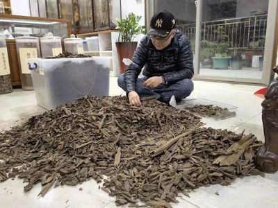 收藏一條極品沉香,是種怎樣的體驗?