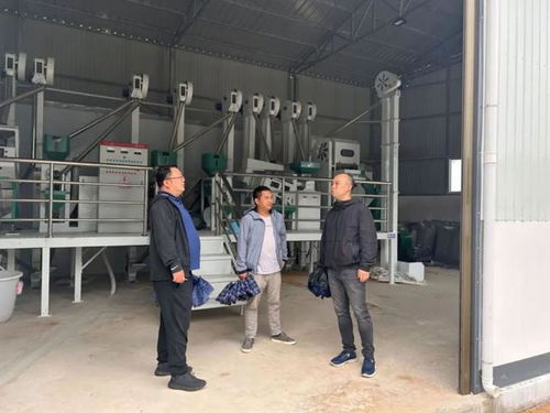 閔行援滇昌寧的項目建得如何 他一一走入
