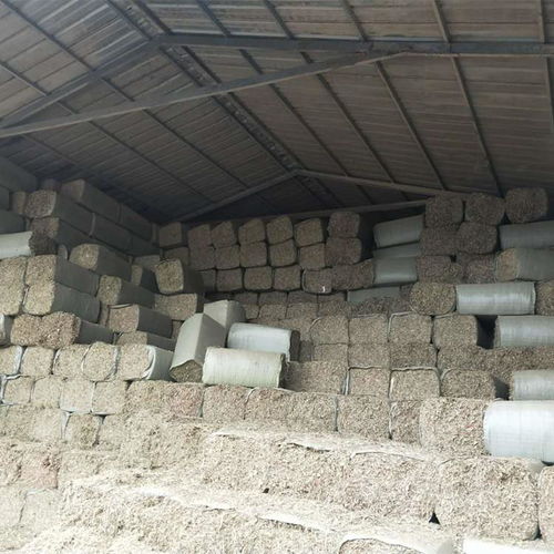 在農村辦一個小型加工廠,加工什么好