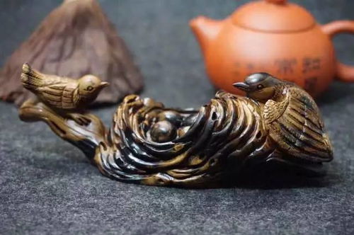 價格賽黃金,不腐不朽的 海底神木 究為何物